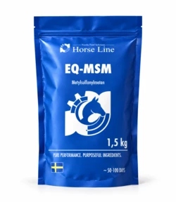 EQ-MSM 1,5 KG Refill