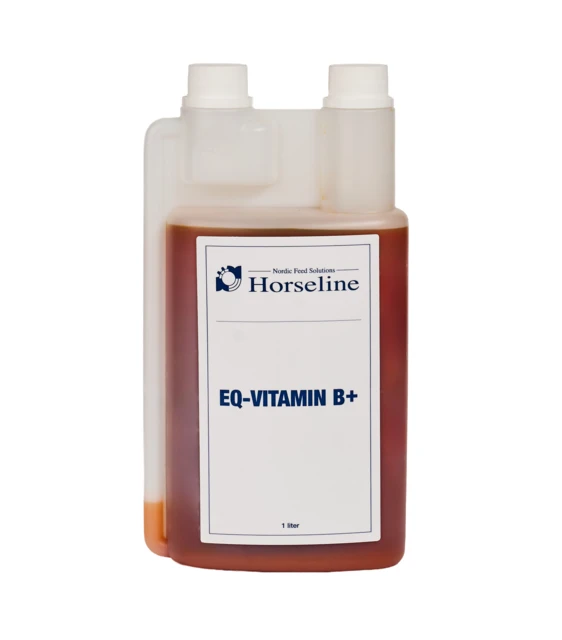 EQ-Vitamin B+