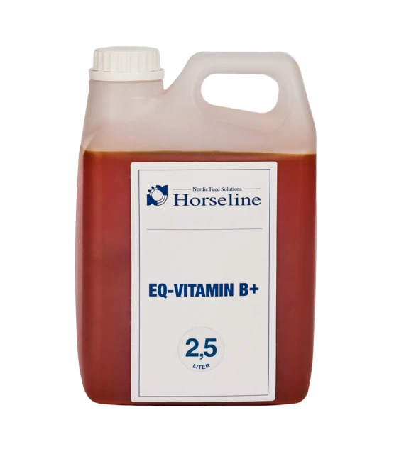 EQ-Vitamin B+