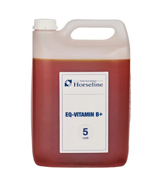 EQ-Vitamin B+